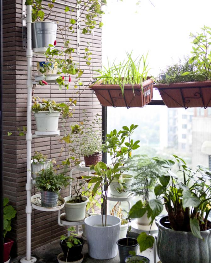 PLANTAS E VASOS IKEA