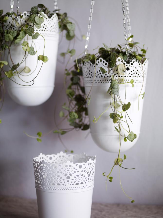 VASOS E PLANTAS