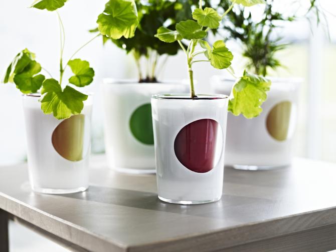 VASOS E PLANTAS
