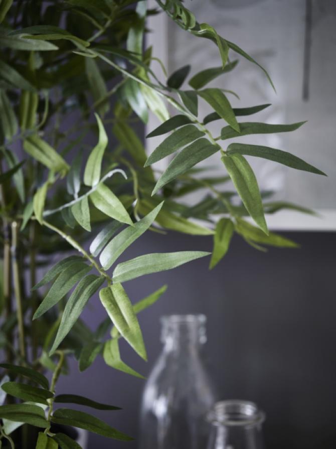 VASOS E PLANTAS