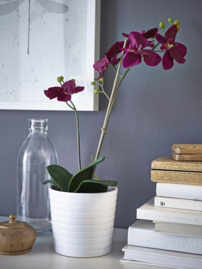 VASOS E PLANTAS
