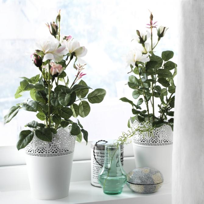 PLANTA IKEA