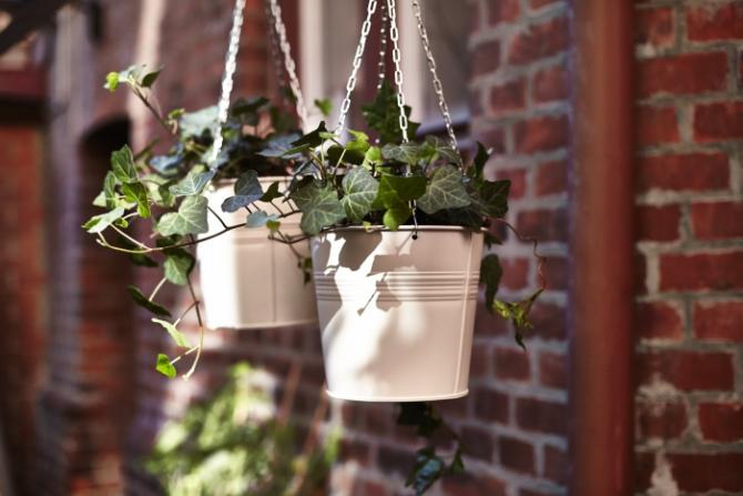 VASOS E PLANTAS