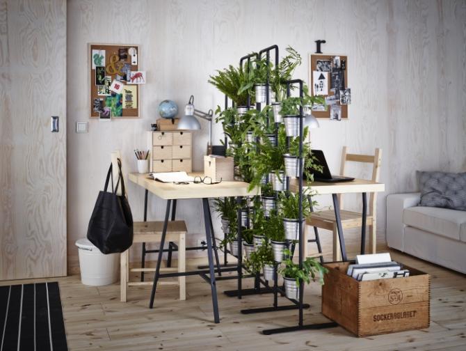 PLANTAS