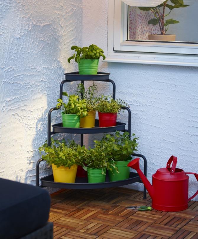 VASOS E PLANTAS