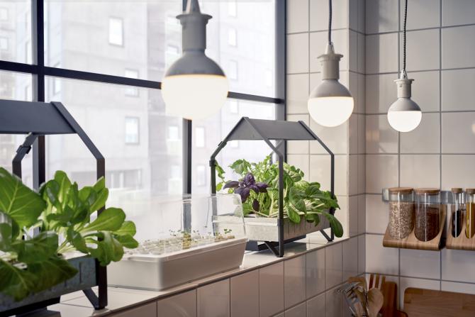 JARDINAGEM INTERIOR IKEA