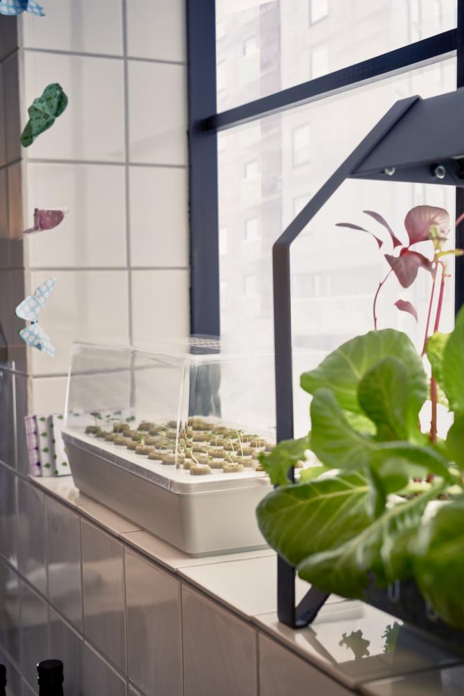 JARDINAGEM INTERIOR IKEA